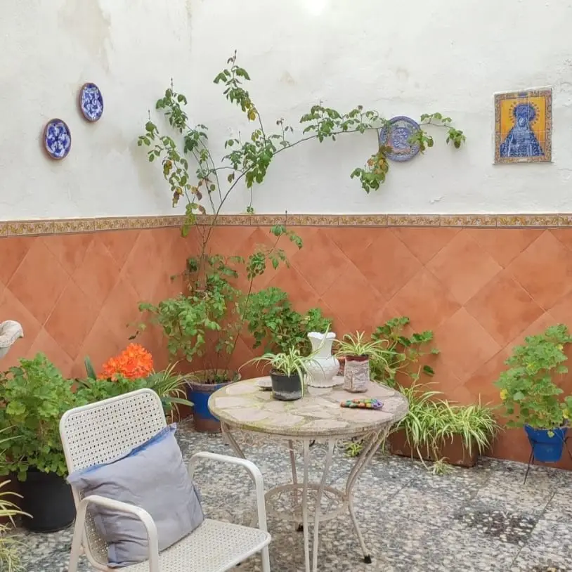 Patio con plantas – Venta Casa Calle Obispo López Criado