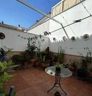 Patio con plantas – Chollos en La Carlota
