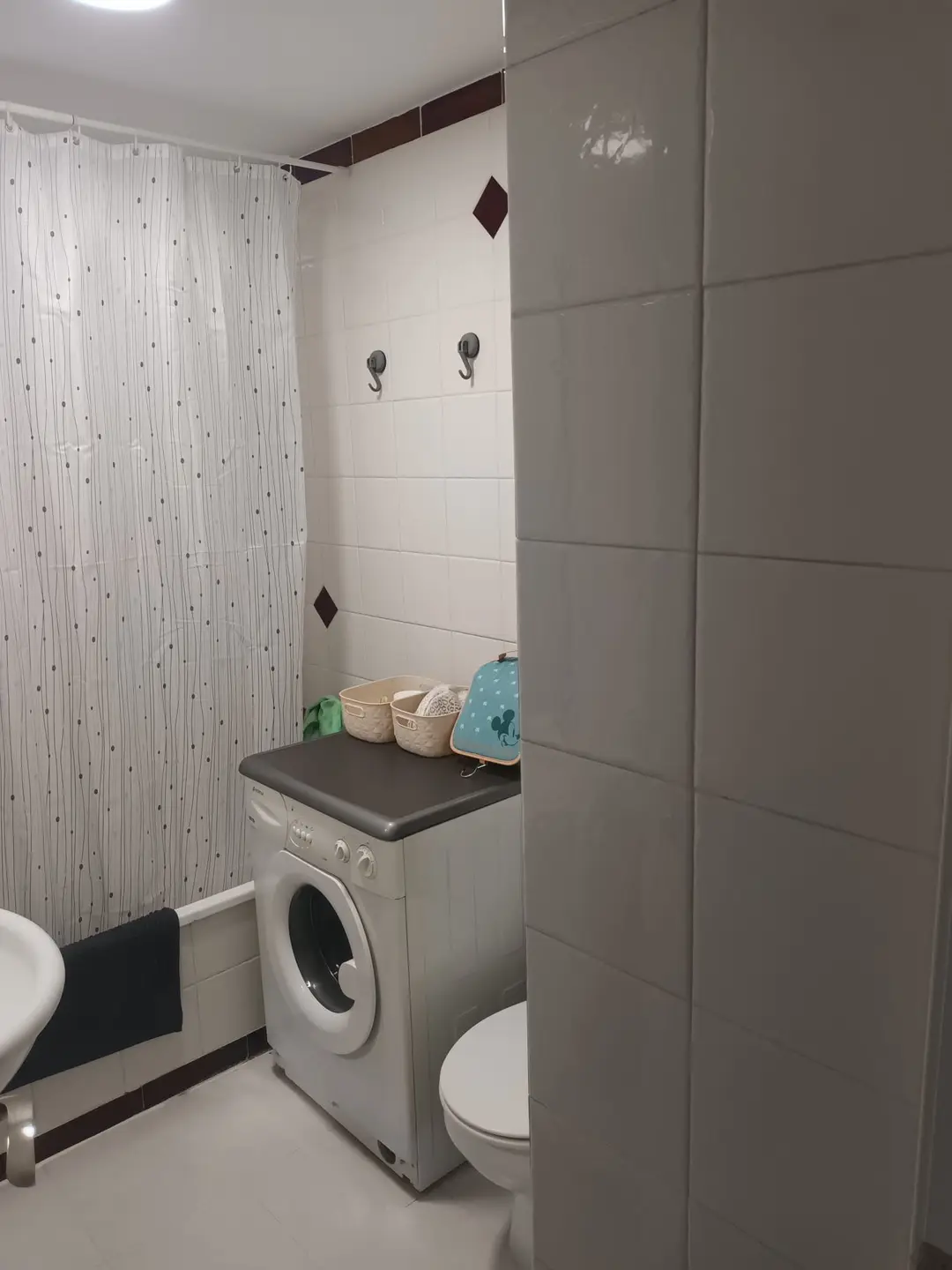 Baño con lavadora – Estudio La Noria San Luis de Sabinillas