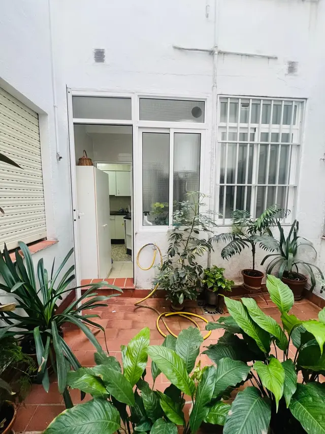 Patio con plantas y acceso a la cocina – Piso en Ciudad Jardín Córdoba con 4 dormitorios y ascensor