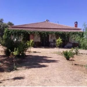 CHOLLO FINCA RUSTICA EN PEÑARROYA