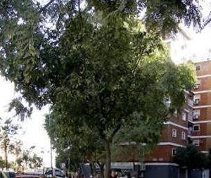 Piso en venta en barrio de Fátima Córdoba